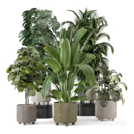 Indoor Planters in Cecilia Ficonstone Pot Set